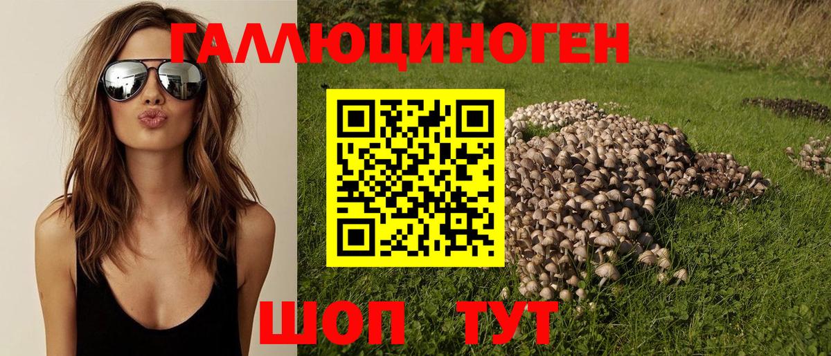Галлюциногенные грибы MAGIC MUSHROOMS  Вход с VPN  Галлюциногенные грибы мухоморы  Тавда 