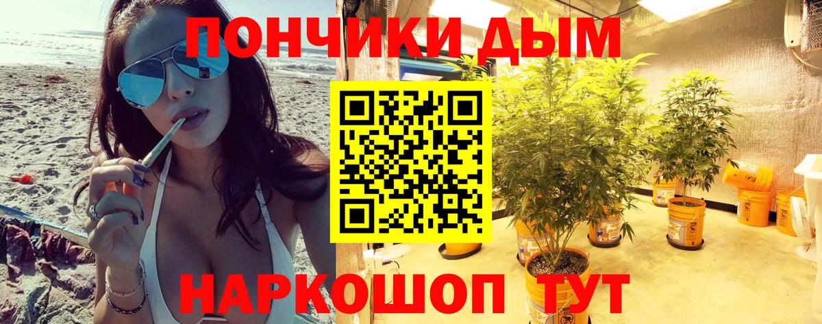 Тавда  Конопля планчик  Конопля семена  Вход с VPN  Марихуана SATIVA & INDICA 